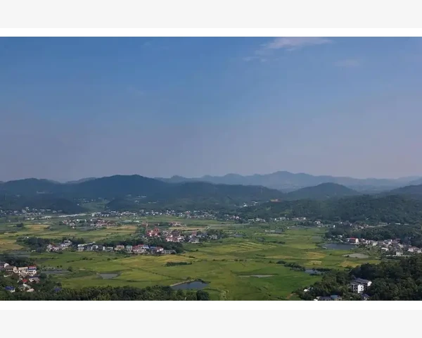夏至养生，以中医为指导，呵护健康功不可挡